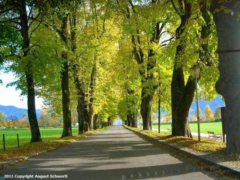 Hotel Krone Mondsee Dış mekan fotoğraf